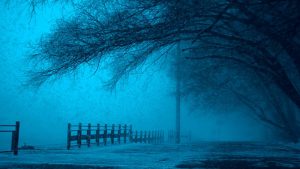 darkwinter